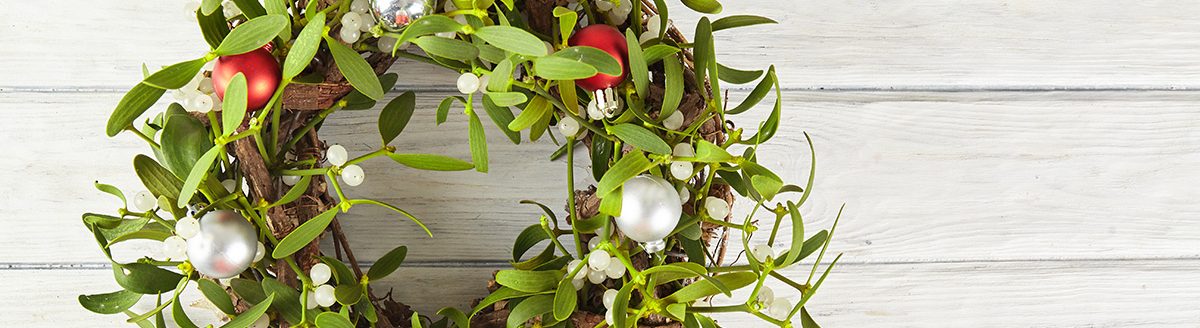 Broom from green mistletoe (Photo: Adobe Stock │ #241283907 - arybickii)