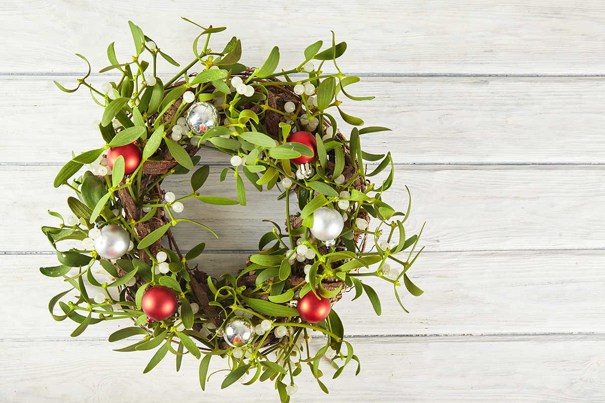 Broom from green mistletoe (Photo: Adobe Stock │ #241283907 - arybickii)