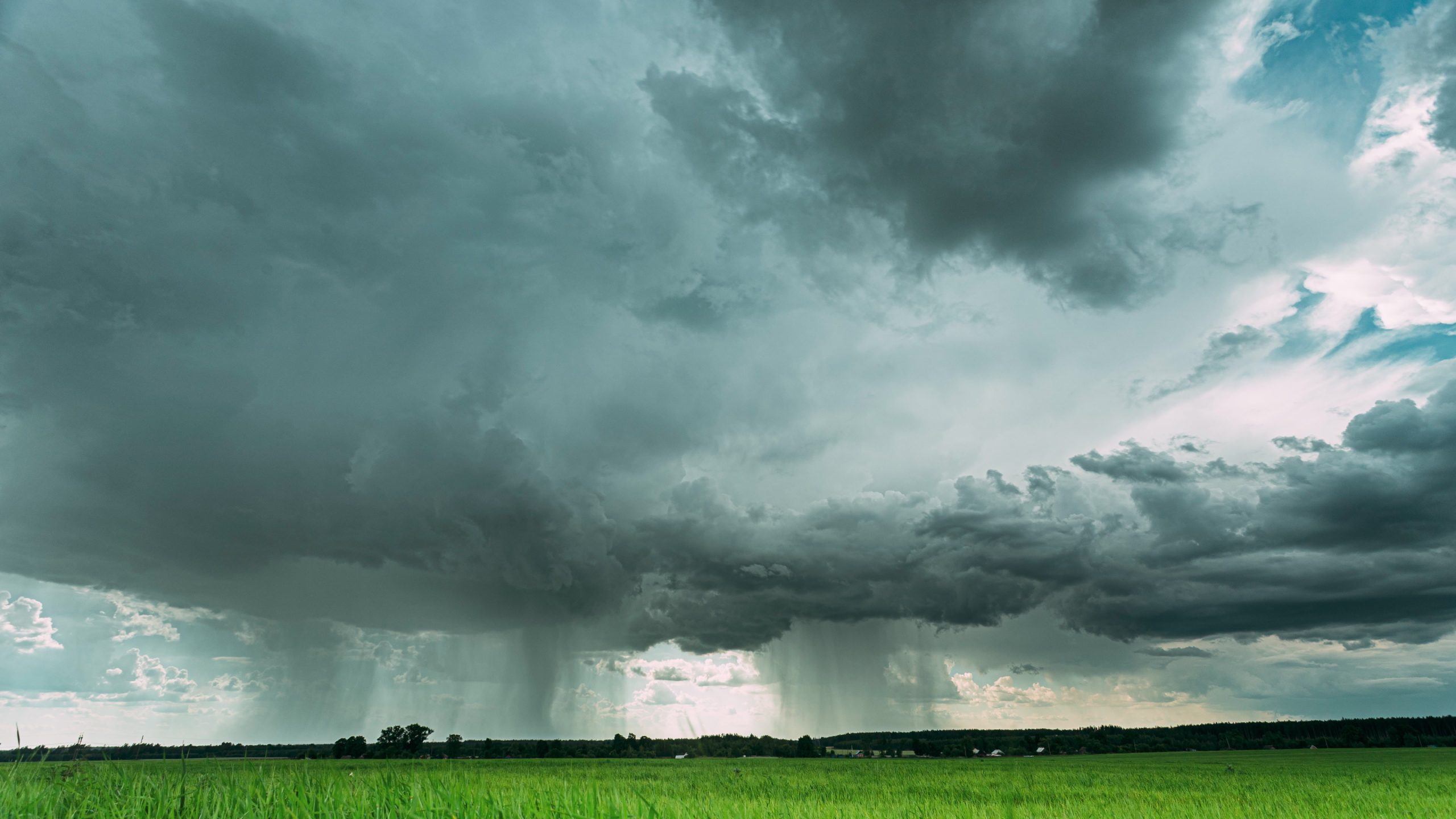 Rain Rainy Clouds Above Countryside Rural Field Landscape With Young Green Wheat Sprouts In Spring Summer Cloudy Day. Heavy Clouds Above Agricultural Field. Young Wheat Shoots (Photo: Adobe Stock │ #480573809 - Great Brut Here)