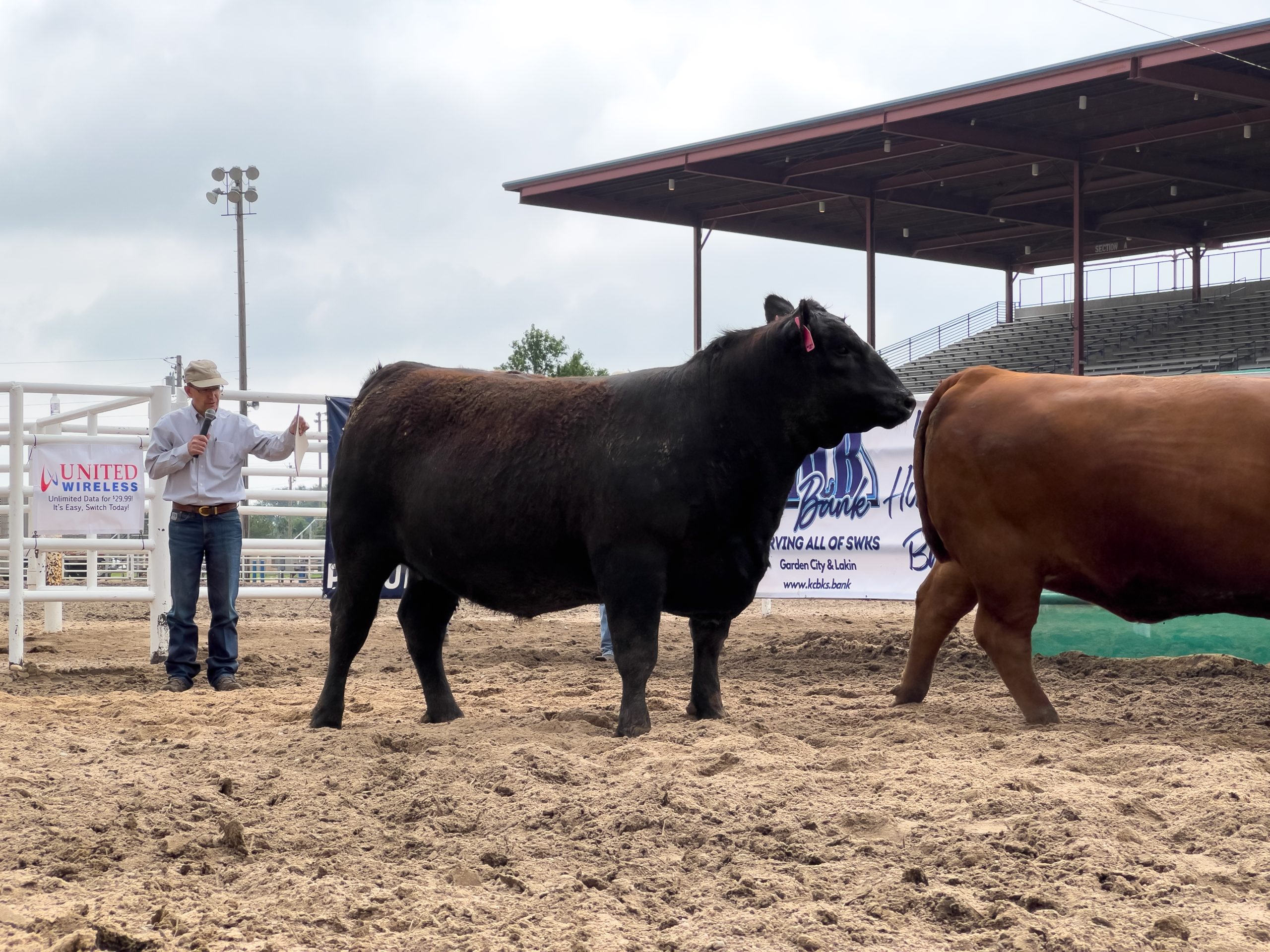 Kelly Bruns talks his top 5 heifer choices during the Beef Empire Days Live Show June 4 in Garden City, Kansas. (Journal photo by Kylene Scott.)