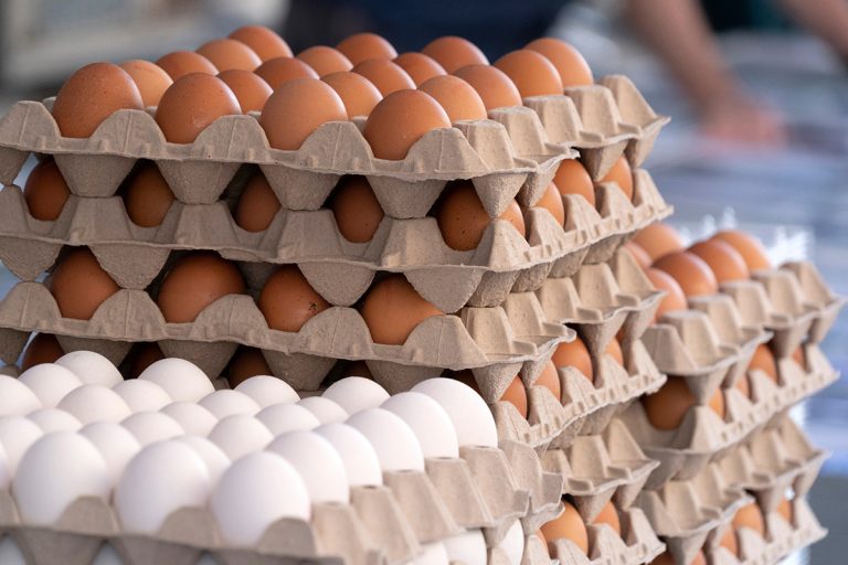 Many fresh eggs at the market. (Photo: Adobe Stock │ #295334887 - Andrea Izzotti)