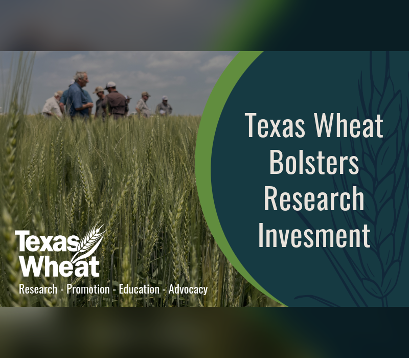 Texas Wheat Commission Bolsters Research Investment