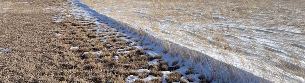 Figure 3. Comparison of plant residue amount with ability to capture snowfall moisture.
