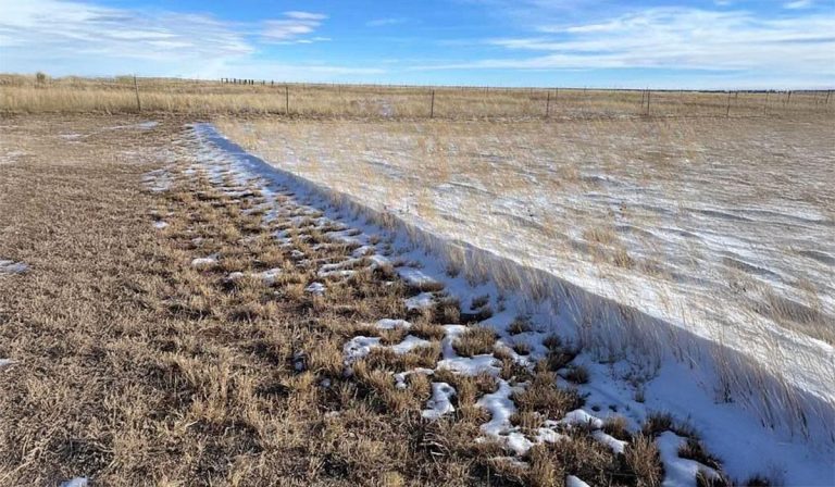 Figure 3. Comparison of plant residue amount with ability to capture snowfall moisture.