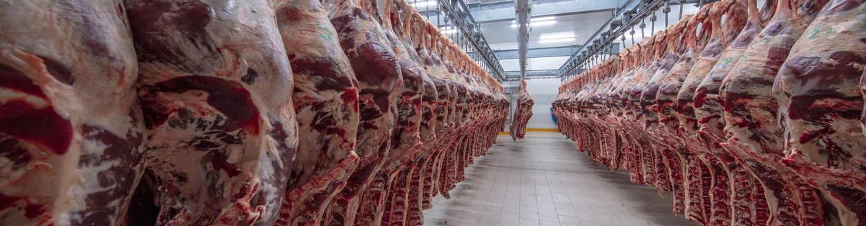 Meat industry, meats hanging in the cold store. (Photo: iStock │ #1134115920 - asikkk)