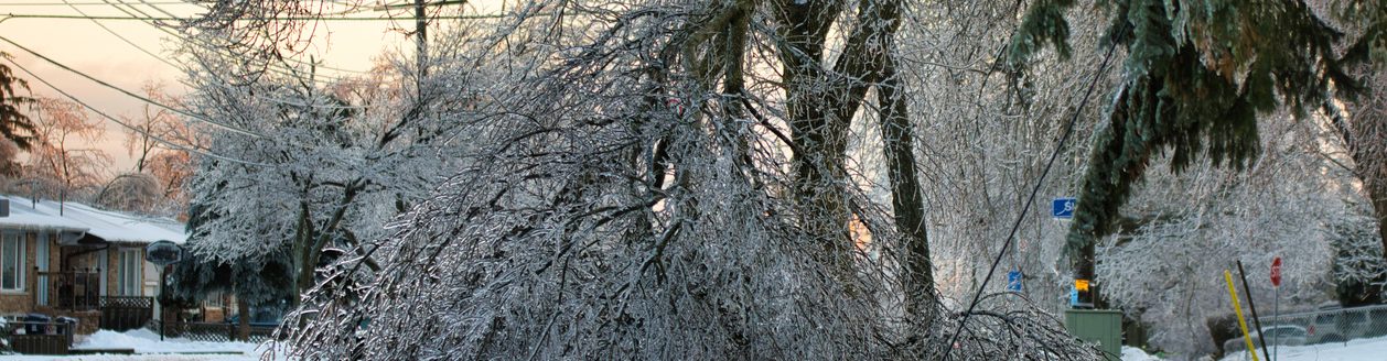 Frozen tree collapses and takes down power lines. (Photo: iStock │ #1172086787 - Bibirajh Sivamyinthan)