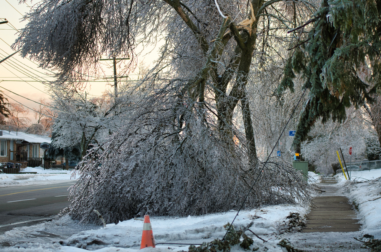 Frozen tree collapses and takes down power lines. (Photo: iStock │ #1172086787 - Bibirajh Sivamyinthan)