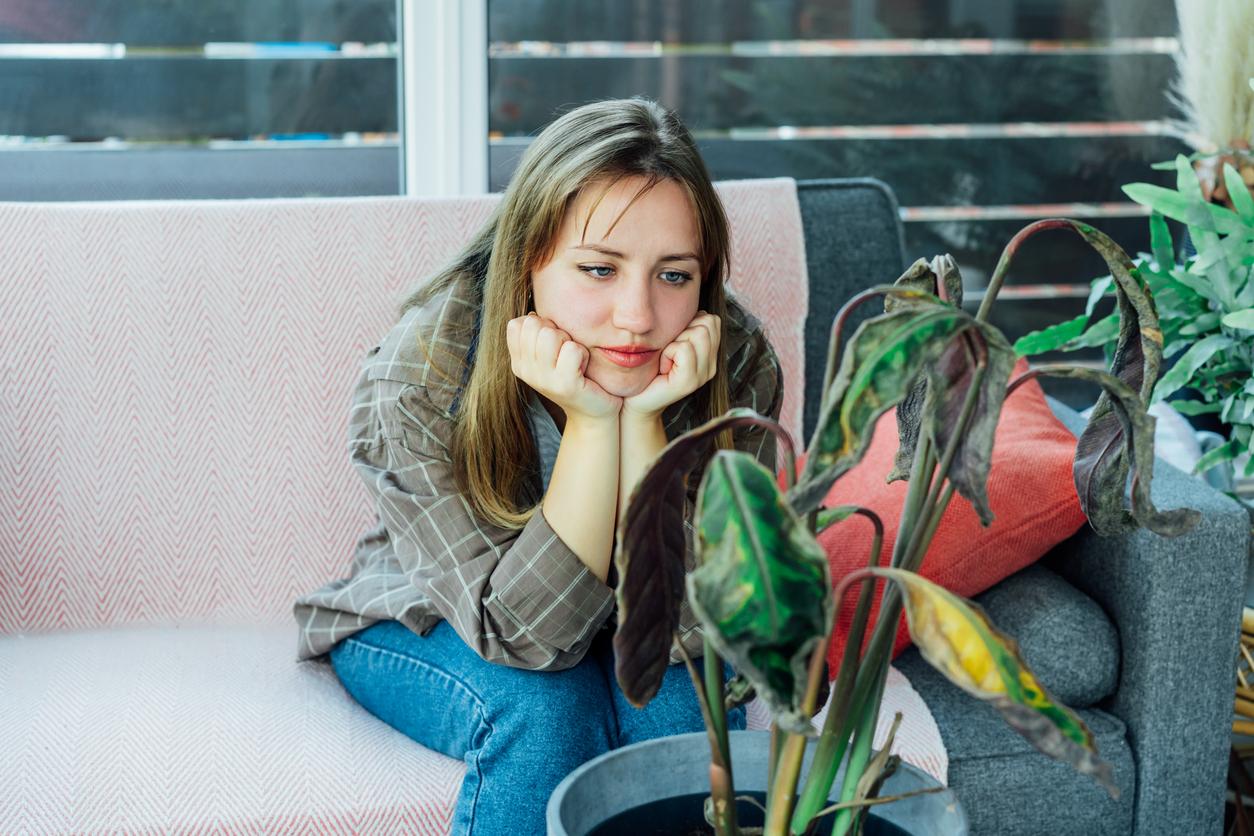 Young upset, sad woman examining dried dead foliage of her home plant. (Photo: iStock │ #1456805914 - OKrasyuk)