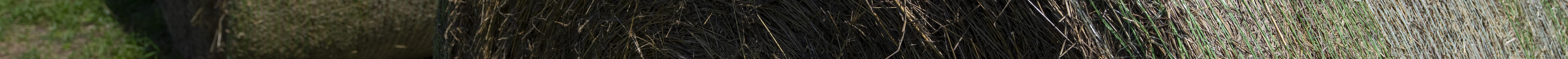 Hay bales on Tuesday, Mar 05, 2024, in Corpus Christi, Texas. (Michael Miller/Texas A&M AgriLife Marketing and Communications)