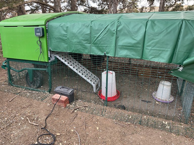 Winterizing your Omlet Eglu coop. (Photo: Alissa Weece)
