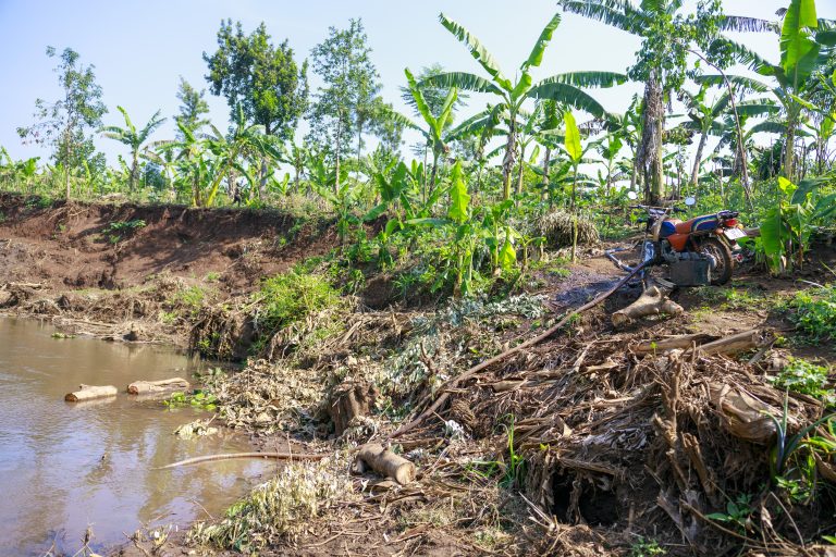 A motorcycle, adapted to function as a water pump, draws from a stream to irrigate crops—an innovative approach to irrigation as a service in Mbale, Uganda. (Photo credit to David Munyaneza, DWFI)