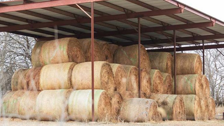 Covered hay. (K-State Research and Extension)