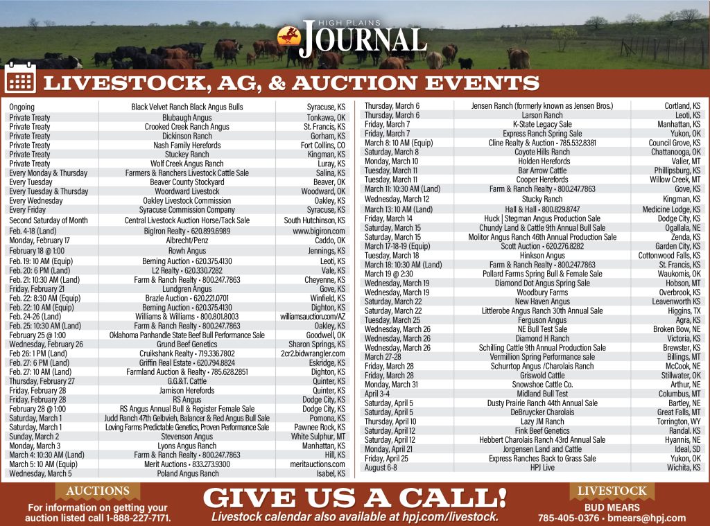 Auction Calendar February 14 2025