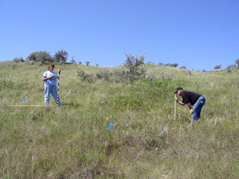 NRCS North Dakota State Resource Inventory Coordinator Jody Forman, left, and retired Area Range Specialist Dennis Froemke, right, conduct a wildlife cover exercise as part of the NRI grazing inventory protocol. The NRI, which includes cropland and grazing land inventories, is a cornerstone of the nation’s conservation efforts, providing the data needed to inform policy, assess resource trends, and develop conservation practices. (Photo: USDA NRCS)