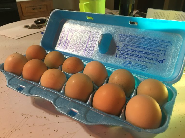 The avian flu continues to be cited for an increase in egg prices. (Journal photo by Dave Bergmeier.)