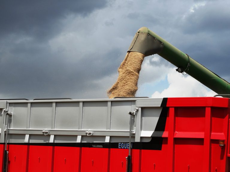 From the combine the wheat is being unloaded into the trailer. (iStock │ #1713349771 - Eduardo Lopez)