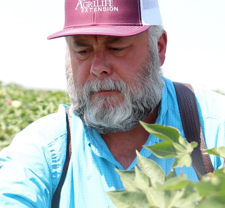 Kerry Siders, Extension integrated pest management agent with Texas AgriLife Extension Service in Hockley and Cochran counties. (Courtesy photo.)