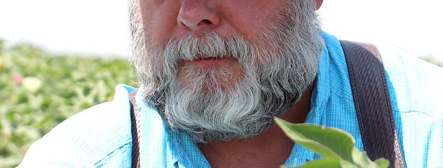 Kerry Siders, Extension integrated pest management agent with Texas AgriLife Extension Service in Hockley and Cochran counties. (Courtesy photo.)