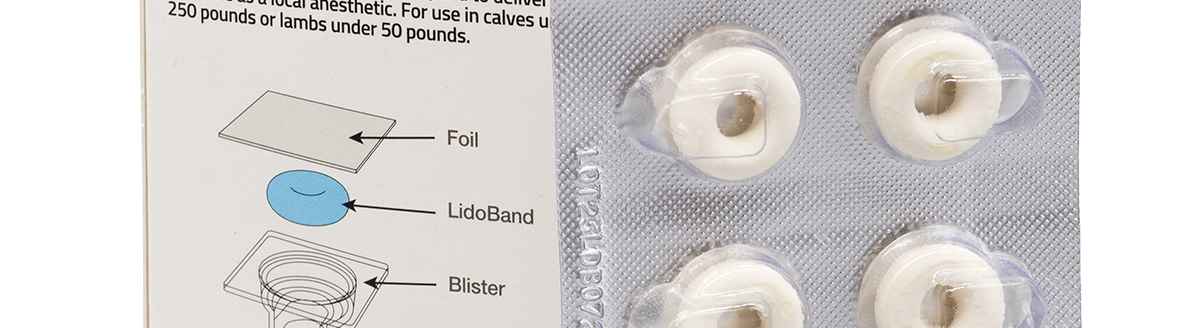 Lidoband castration bands are impregnated with lidocaine to reduce the discomfort associated with band castration. It is effective for 42 days in calves weighing up to 250 pounds. This spring, Lidoband will be available for calves up to 1,000 pounds. (Courtesy photo.)