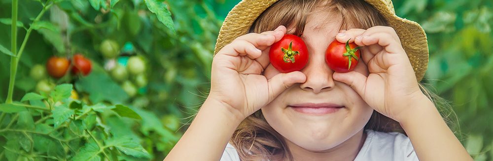 A child in a garden with tomatoes. (Adobe Stock │ #338325350 - yanadjan)