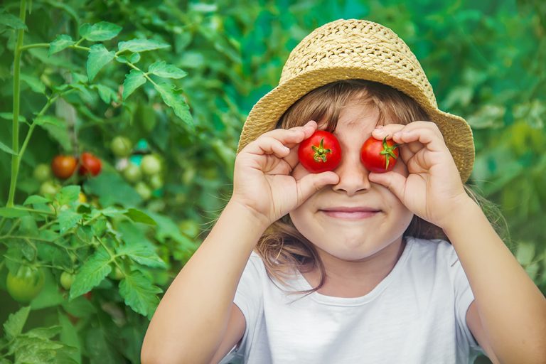 A child in a garden with tomatoes. (Adobe Stock │ #338325350 - yanadjan)