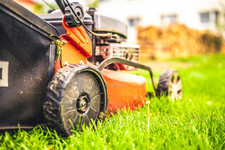 Lawn mower cut grass. (Adobe Stock │ #358230287 - Zedspider)
