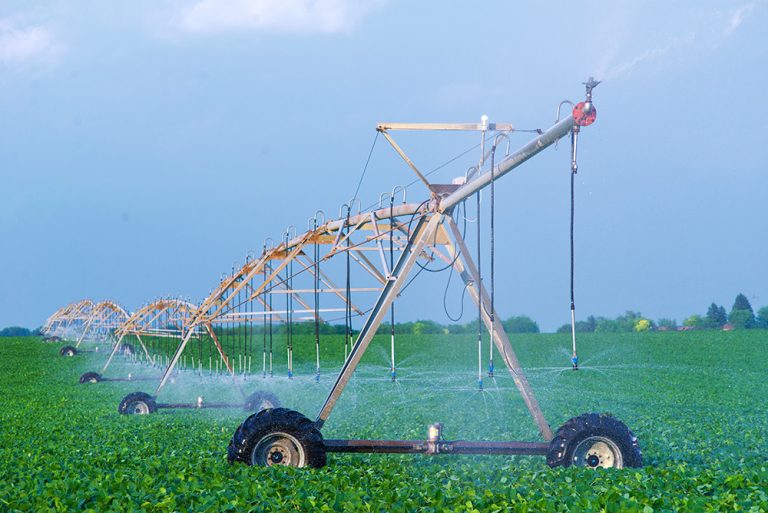 Agricultural irrigation system watering soy bean field in summer. (Adobe Stock │ #523881875 - Solid photos)