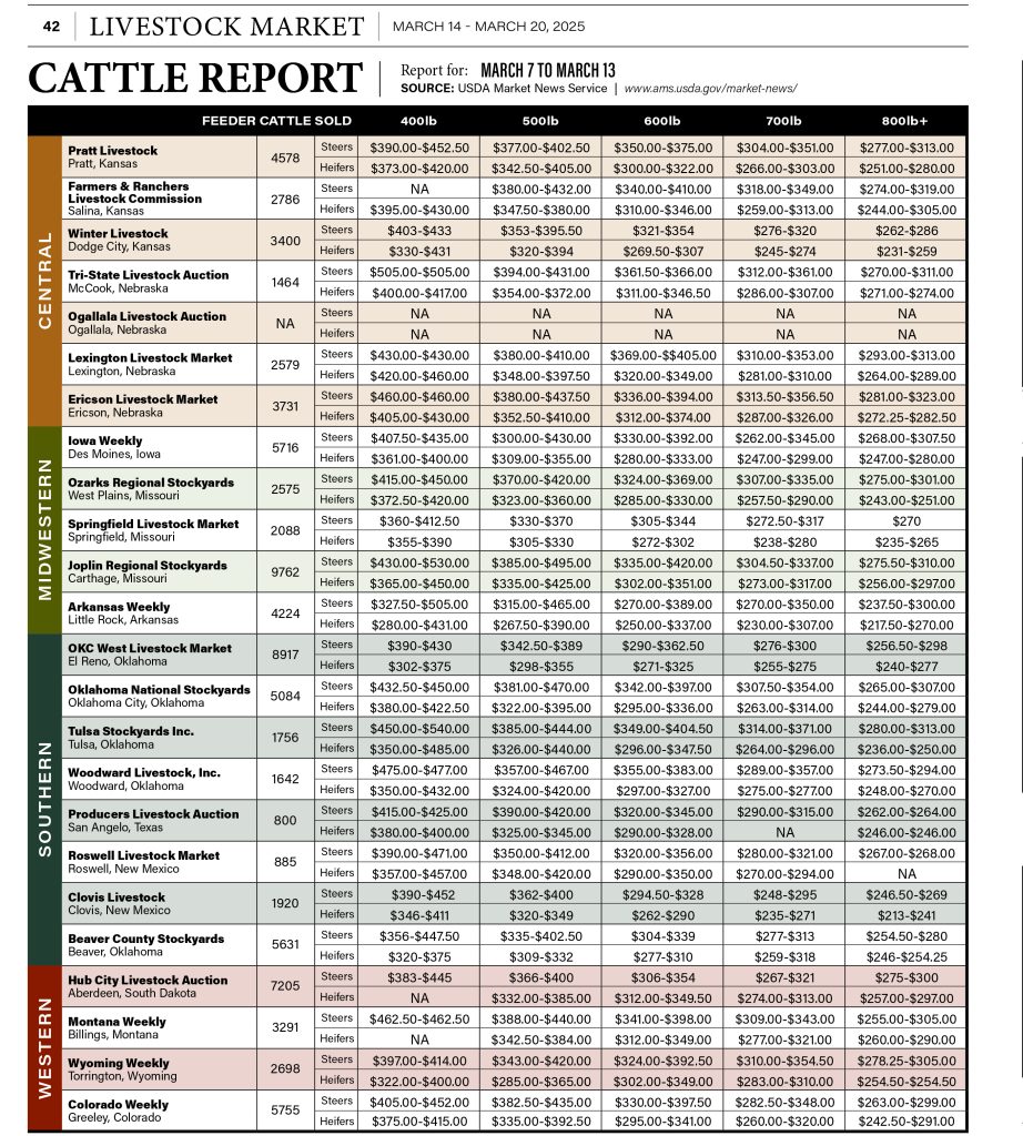 Cattle Report March 14th