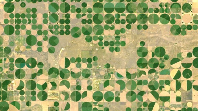 Crop circles near Dalhart, Texas. (Photo credit: Landsat NASA.)