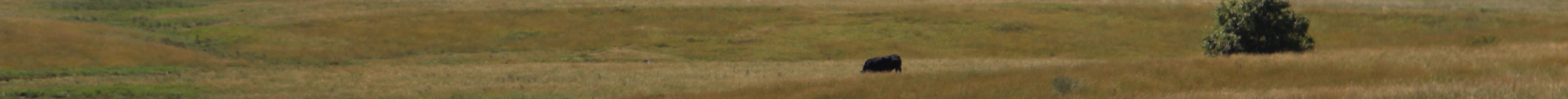 Journal photo by Dave Bergmeier.