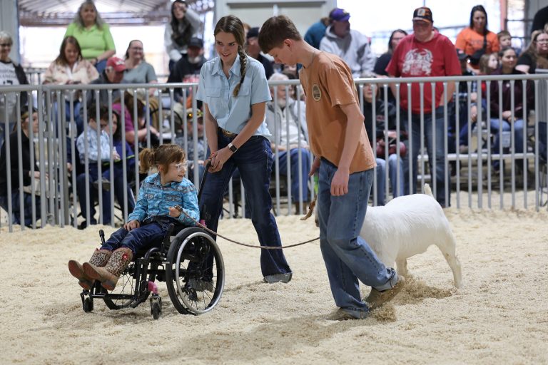 Each All For One Livestock Show participant is paired with one or two 4-H or FFA student volunteers and an animal. (Photo provided by Liana Palmer, LeFlore County Extension.)