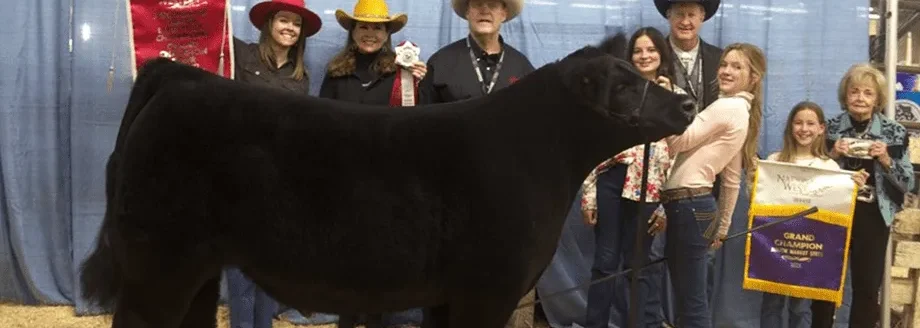 The 2025 grand champion steer, Thunder, exhibited by Madilyn Norvell of Oklahoma, purchased by Hutchison Western. (Courtesy photo.)