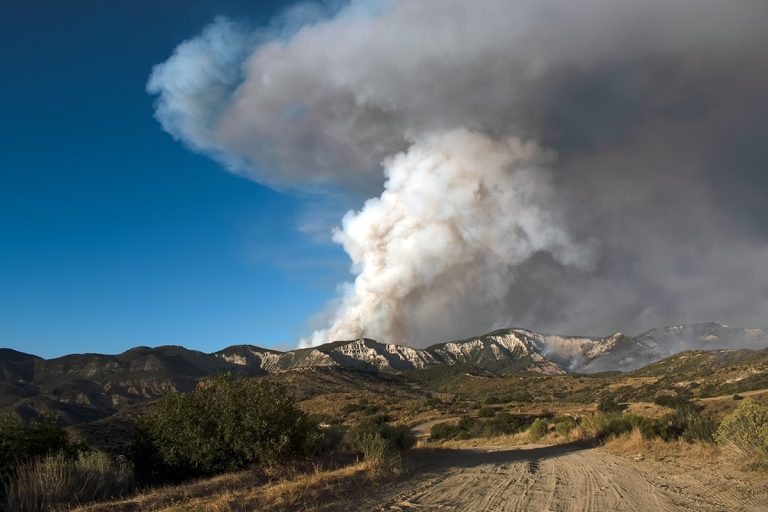 Pine Gulch Wildfire Colorado. (Adobe Stock │ #374575414 - Scott)
