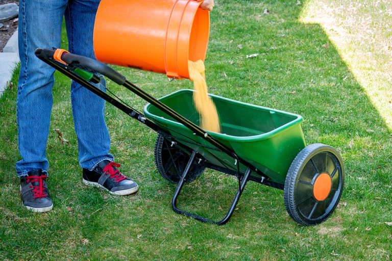 Man pours fertilizer into a drop spreader. (Adobe Stock │ #425345438 - knowlesgallery)