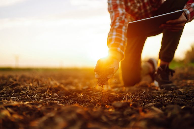 Hand of expert farmer collect soil and checking soil health. (Adobe Stock │ #479404040 - maxbelchenko)
