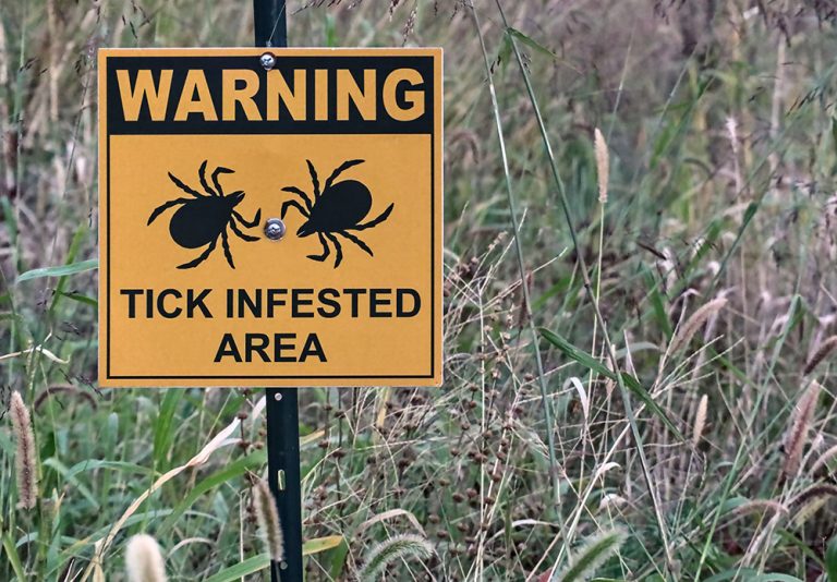 Warning tick infested area sign in a grassy field. (Adobe Stock │ #690377558 - Yuriy T)