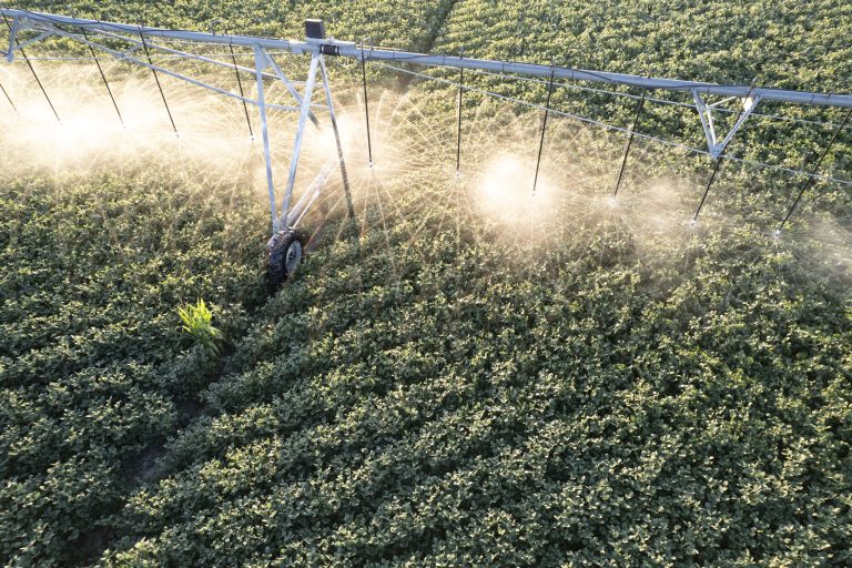 Irrigated soybeans in Keith County, Nebraska are watered by the Ogallala Aquifer. The vast underground reservoir reaches as far south as Texas, where it has declined as much as 36% since the 1950s. In Nebraska, the Ogallala has decreased by just 0.34% on average, according to analysis of U.S. Geological Survey reports, although the state’s southwest counties are showing a much greater decline. (Photo courtesy of Bill Spiegel.)