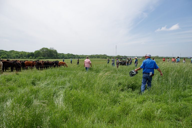 Noble Grazing Essentials workshop attendees participate in activities, observations and instructional lectures as part of the course a year ago at Noble Research Institute in Ardmore, Oklahoma. (Staff photo by Rob Mattson/Noble Research Institute.)