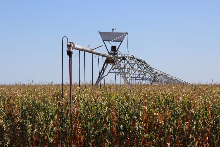 Landlords and tenants need to have a realistic view of crop prices and input expenses based on a three- to- five-year projection on farm income. (Journal photo by Dave Bergmeier.)