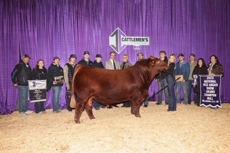 Annie Meier, Clinton, Tennessee, is pictured with the grand champion bull. (Photo courtesy of Next Level Images.)