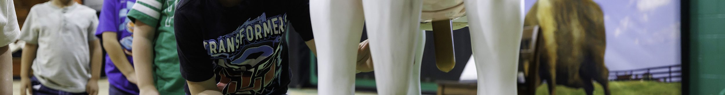 Milking Belle the cow is one of the students’ favorite stations in Oklahoma State University Extension’s Farm to You interactive display. Farm to You helps children learn about where food comes from and how it nourishes the body to grow healthy muscles and bones. (Photo by Mitchell Alcala, OSU Agriculture)