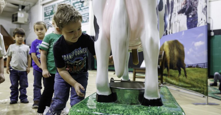 Milking Belle the cow is one of the students’ favorite stations in Oklahoma State University Extension’s Farm to You interactive display. Farm to You helps children learn about where food comes from and how it nourishes the body to grow healthy muscles and bones. (Photo by Mitchell Alcala, OSU Agriculture)