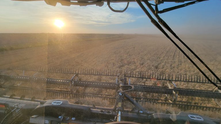 All Aboard Harvest