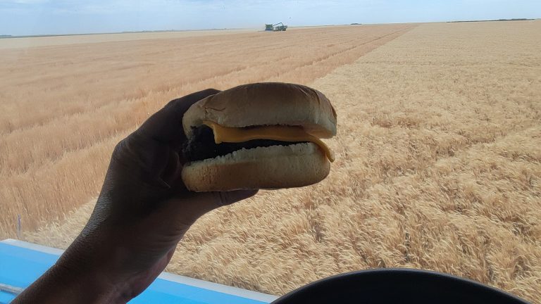 All Aboard Harvest