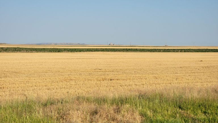 All Aboard Harvest