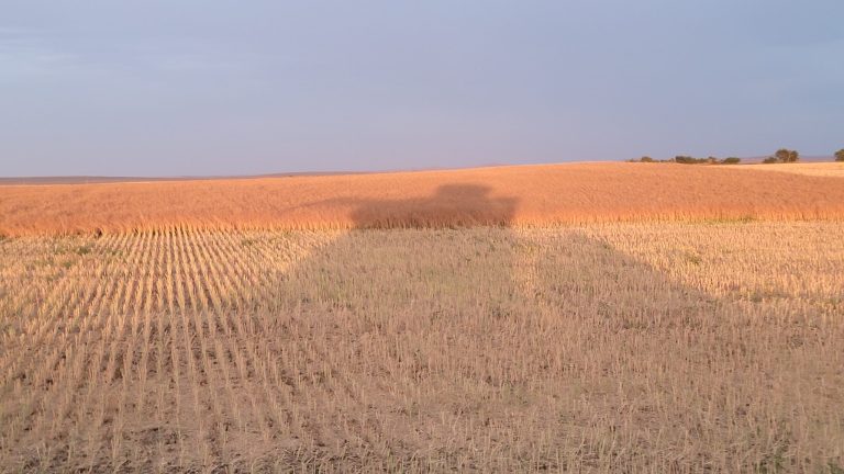 All Aboard Harvest