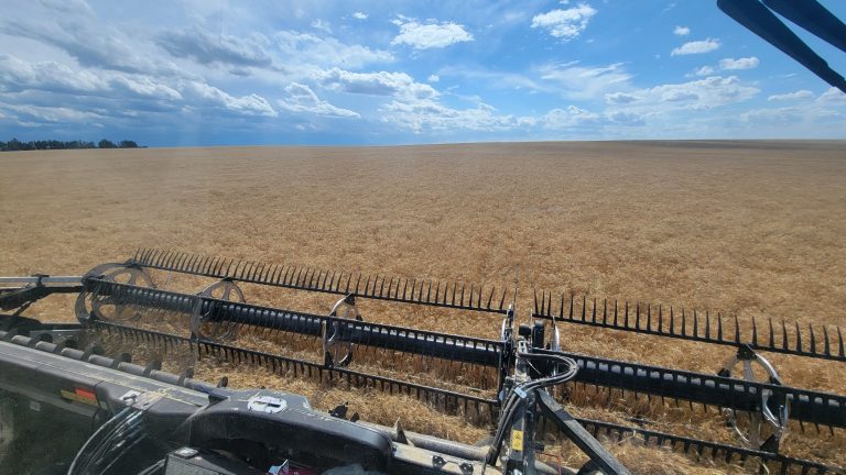 All Aboard Harvest