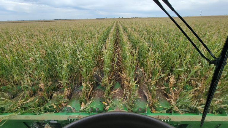 All Aboard Harvest