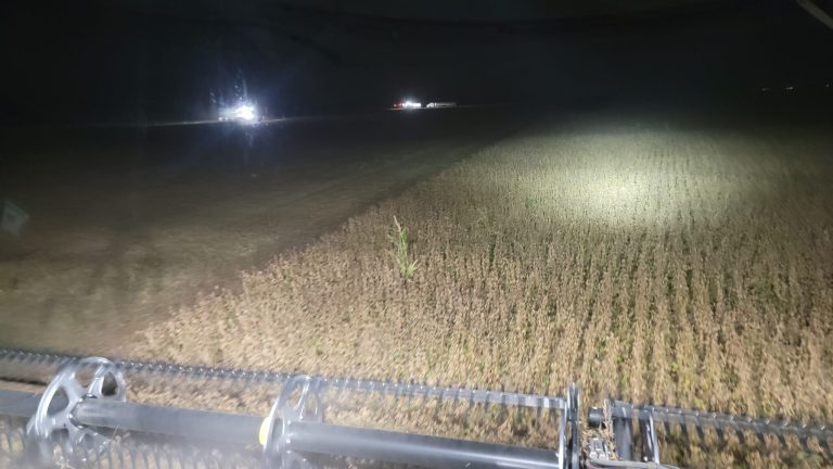 All Aboard Harvest