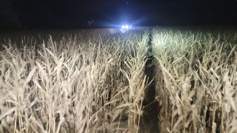 All Aboard Harvest